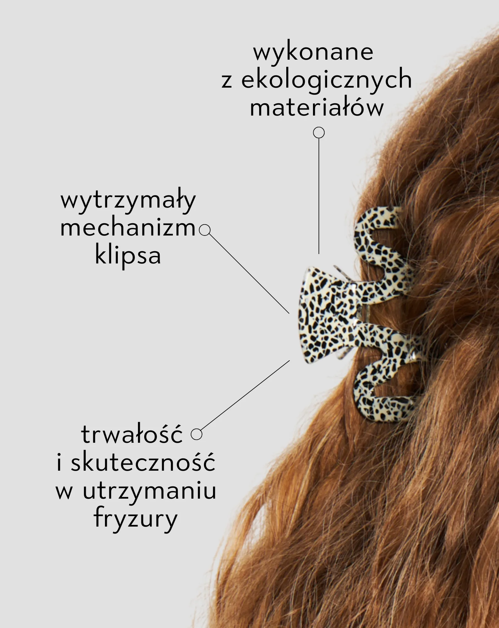 curls & claws – photo 4