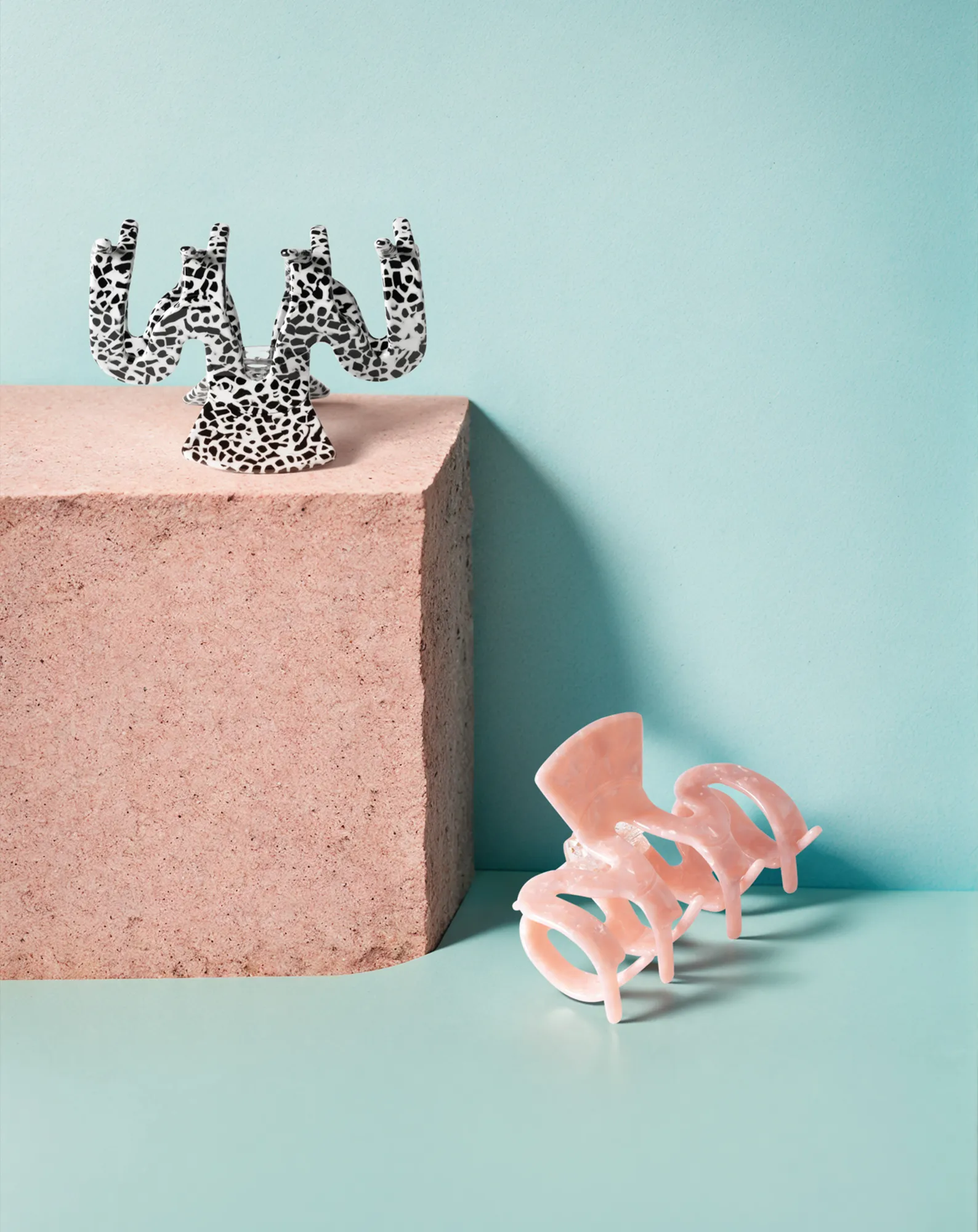 curls & claws – fotografia 5